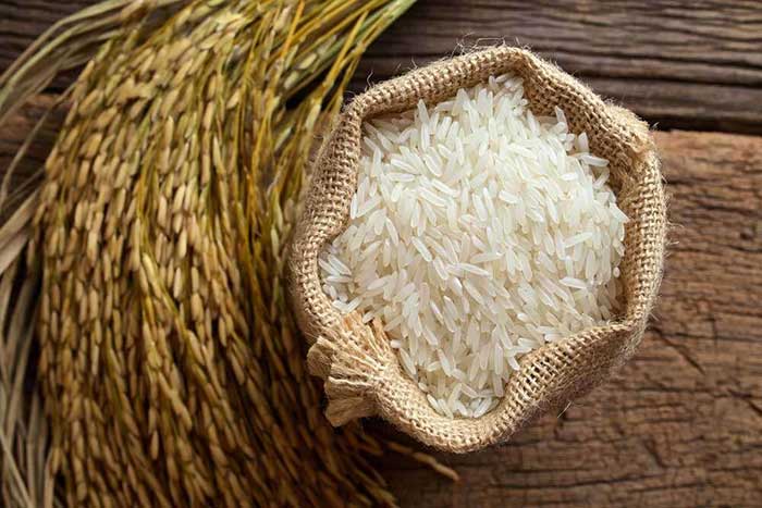تصویر 4 از فروش برنج هاشمی کشت دوم + قیمت خرید به صرفه